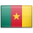 Cameroon - flag